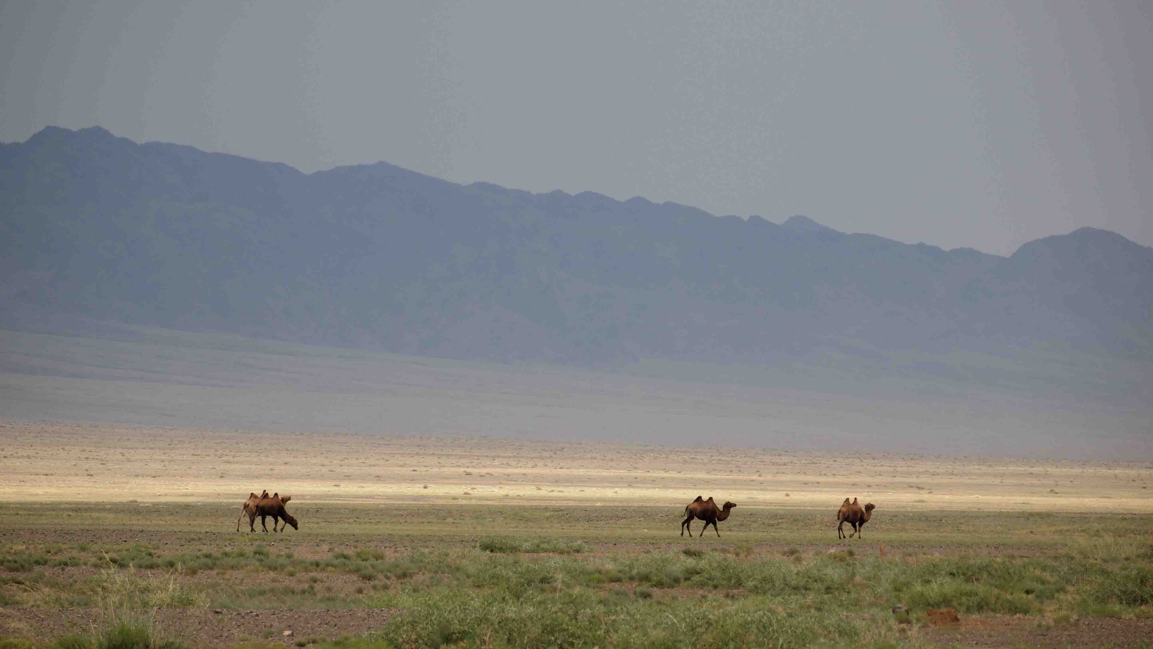 que-ver-desierto-gobi-itinerario-mongolia