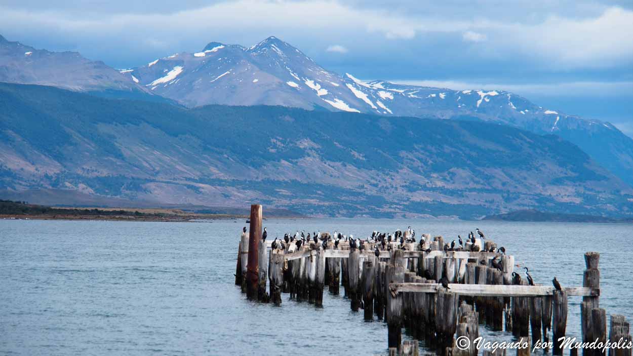 que-ver-que-hacer-en-puerto-natales-chile