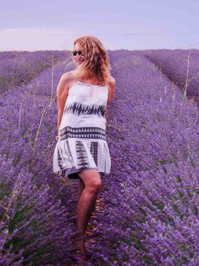 Brihuega Lavanda