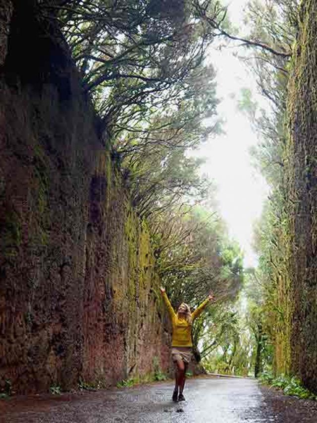 Ruta de 7 días en Tenerife