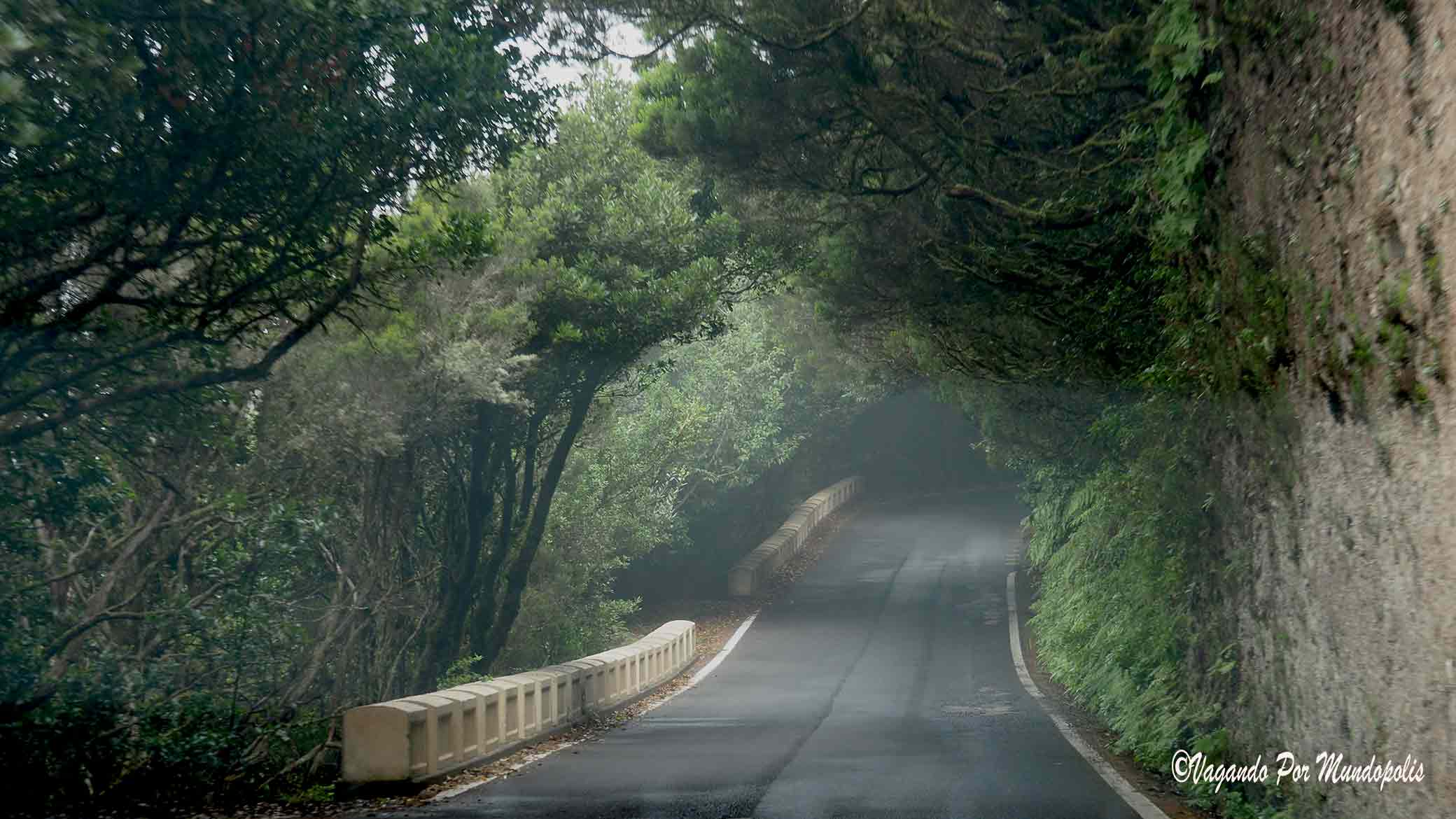 que-hacer-en-anaga-tenerife