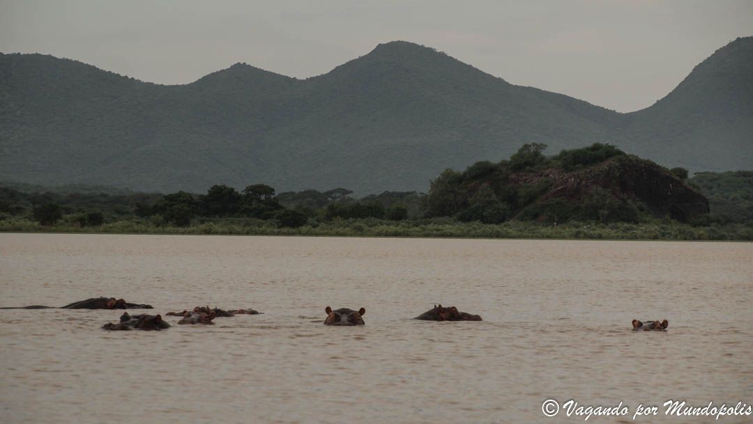 lago-chamo-etiopia