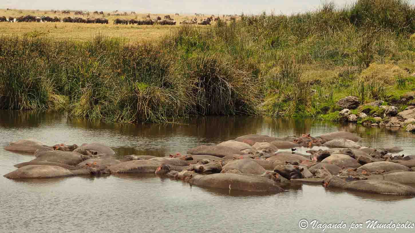viaje-crater-ngorongoro