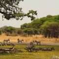 parque-nacional-tarangire