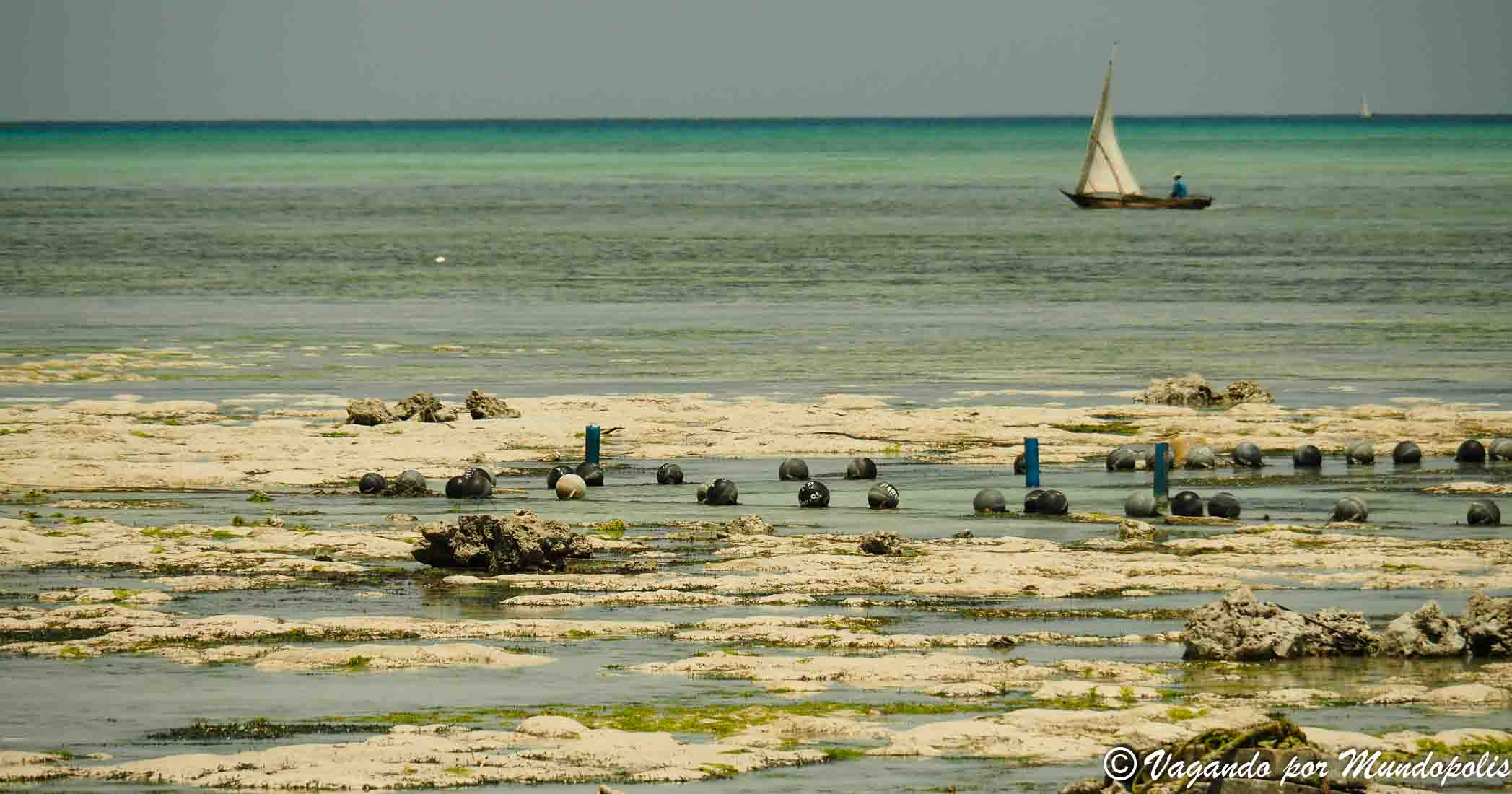 zanzibar-por-libre
