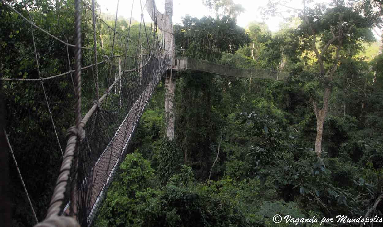 parque-nacional-kakum