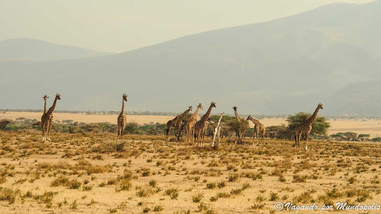 viajar-tanzania