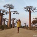 avenida-baobabs-madagascar