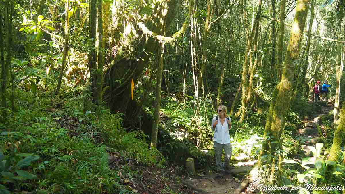 parque-nacional-ranomafana-madagascar
