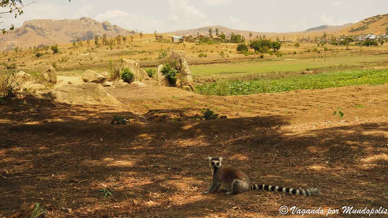 reserva-de-anja