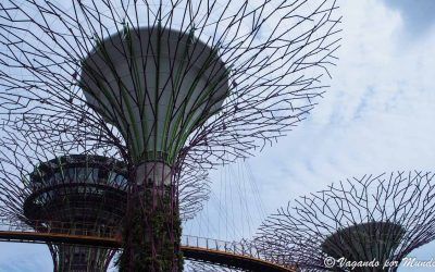 que-ver-en-singapur